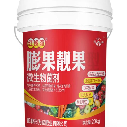 广平县红娇滴♥膨果靓果型/微生物菌剂枯草芽抱杆菌/地衣芽孢杆菌
