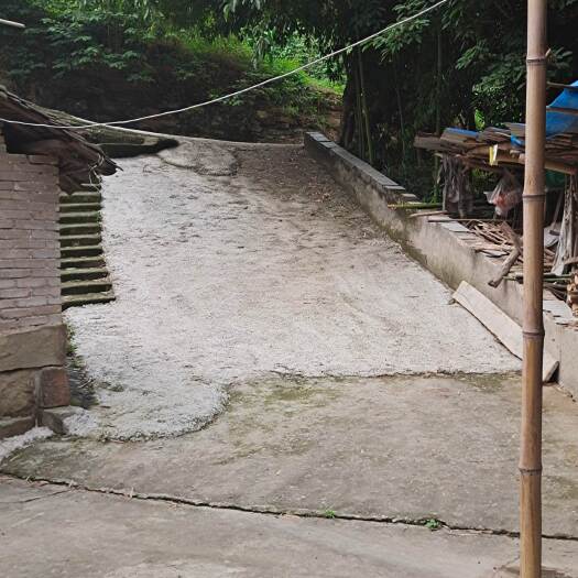 重庆市巴南区麻柳嘴镇300平民房出zu可协yi买断，买断价格20W