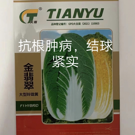 黄心白菜种子  金翡翠（大型玲珑黄）白菜种子~品种早熟抗