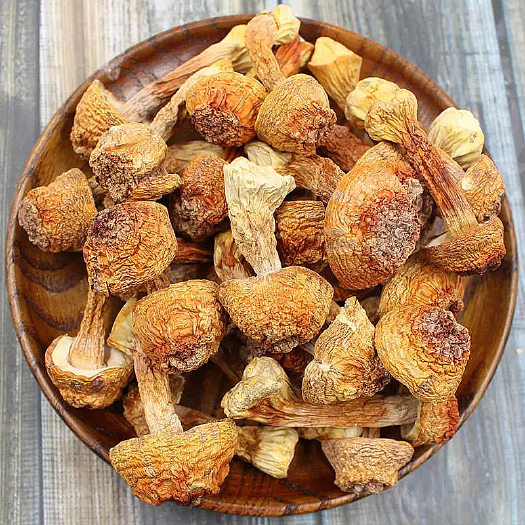 姬松茸产地直销批发 精品巴西菇土特产烘干菌菇干货蘑菇