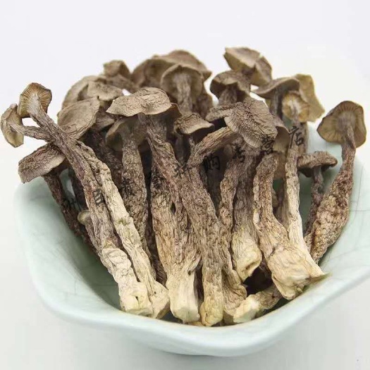 鹿茸菇产地直销批发 烘干脆脆菇浓香切根蘑菇干货土特产食用菌