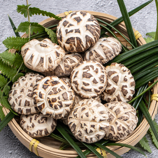广州茶花菇产地直销批发 浓香型香菇干货蘑菇土特产新鲜烘干花菇菌菇