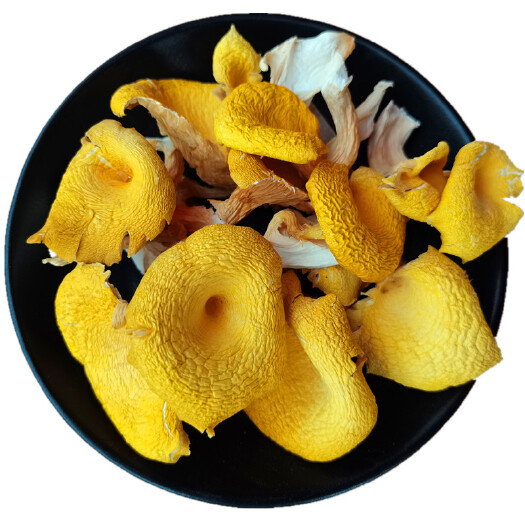 产地直销鸡油菌干货单根蘑菇黄金菇2-3榆黄蘑食用菌土特产批发