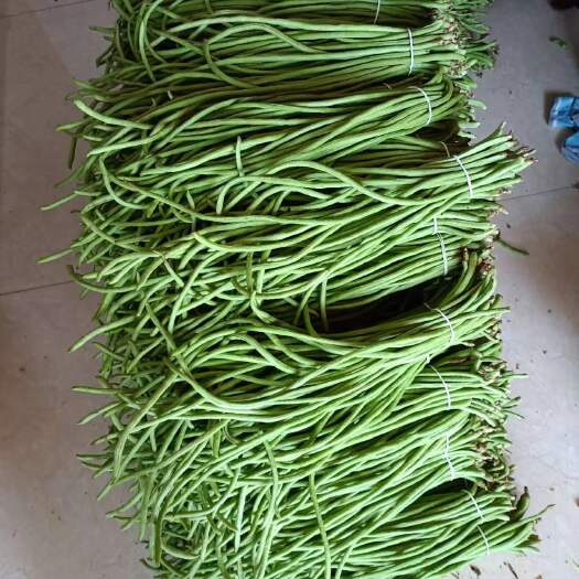 宁乡市长豆角豇豆