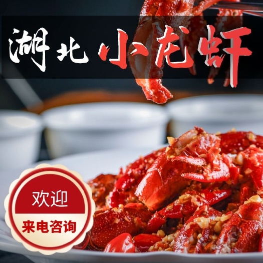 潜江市清水小龙虾 一手货源 品质优良
