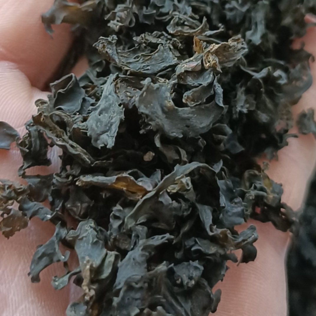 同心县免洗地皮菜，干净，泡发力1斤泡发12-13斤左右