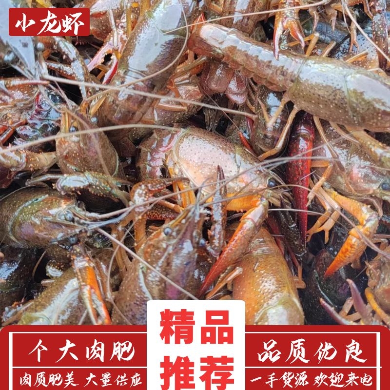 коƷˮϺȫװɾʱ