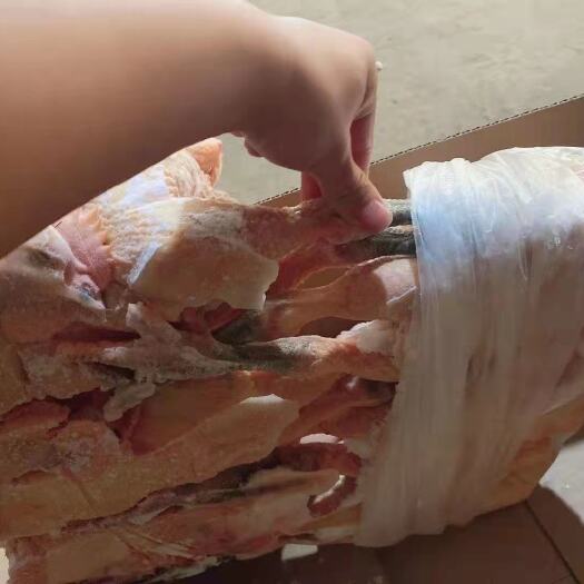 麻母鸡