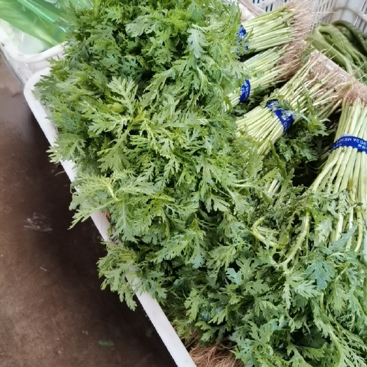 廊坊茼蒿