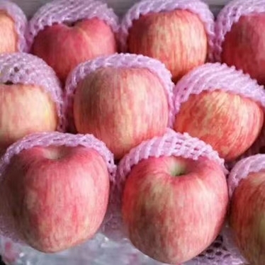 山东万亩红富士苹果基地 条纹拉丝 口感脆甜 一手货源量大优惠