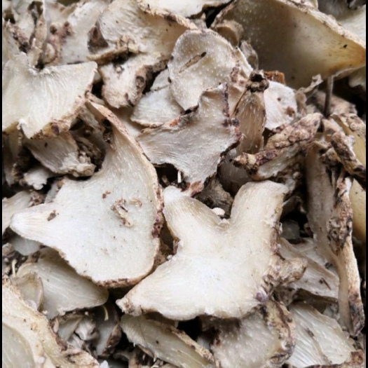 亳州白及 白芨片无硫三叉白芨 正品白芨 白芨片【假一赔十】