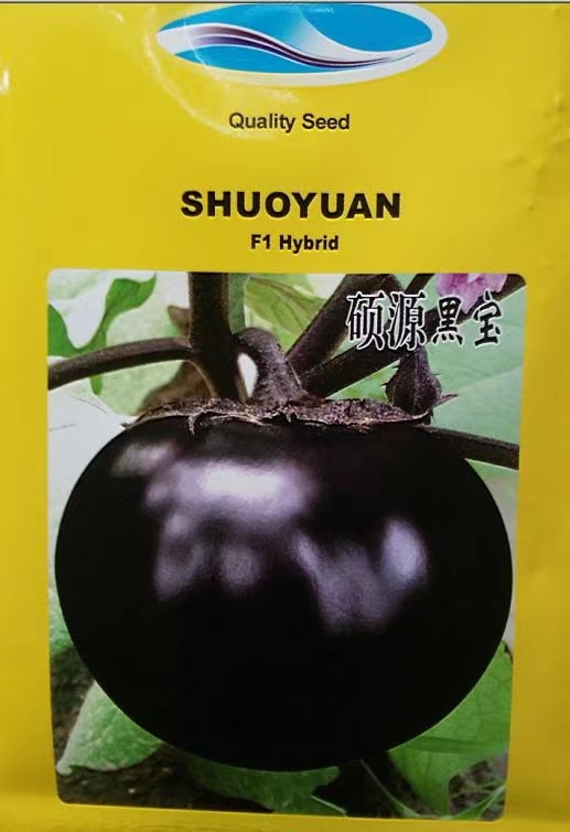 寿光市黑宝茄子苗 圆茄种苗 紫黑圆茄嫁接苗 自根圆茄苗