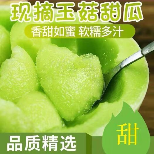 莘县【电商直供】山东玉菇甜瓜冰淇淋蜜瓜  一件代发 承接电商平台