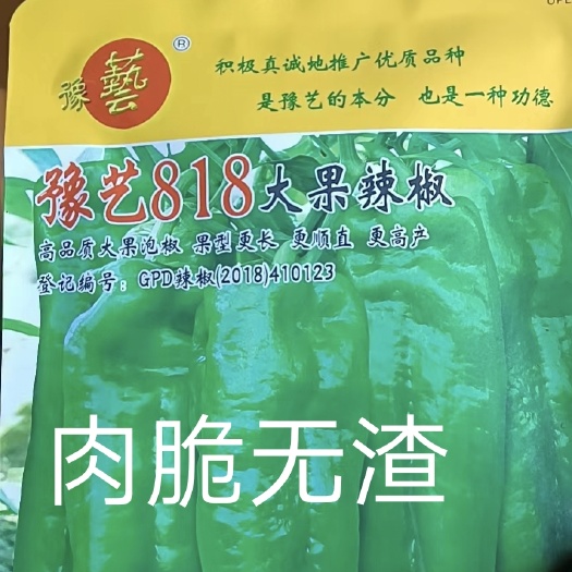 扶沟县豫艺818泡椒种子中早熟中上部果不易变短抗病粗6厘米微辣