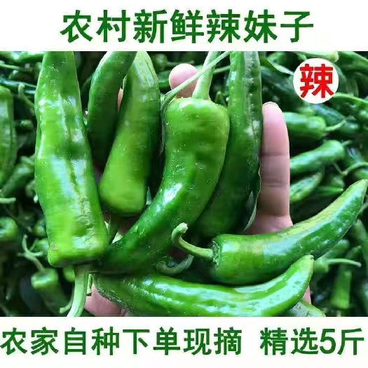 费县精品螺丝椒  大量有货 一件代发  对接电商 超市 市场