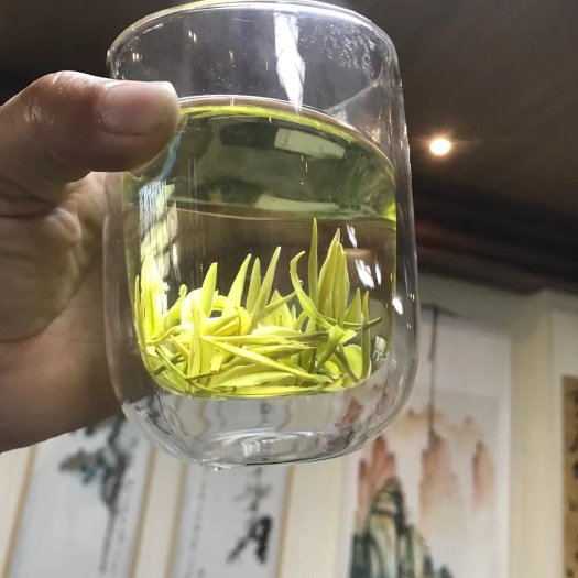 溧阳天目湖白茶清明前头采中白一号新品种非安吉白茶茶农自产自销
