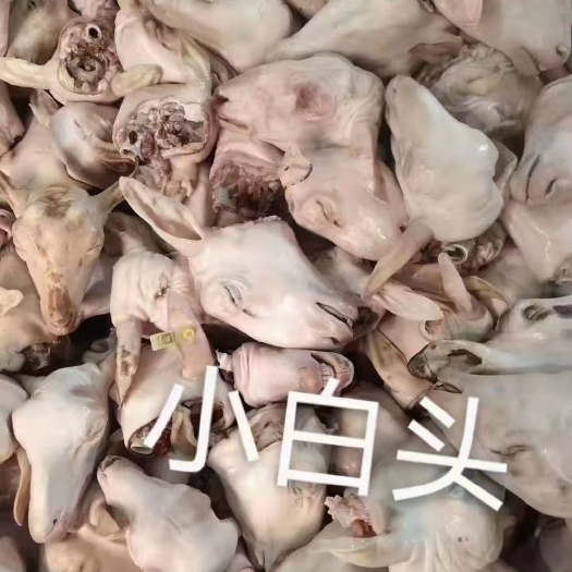 郑州生羊头