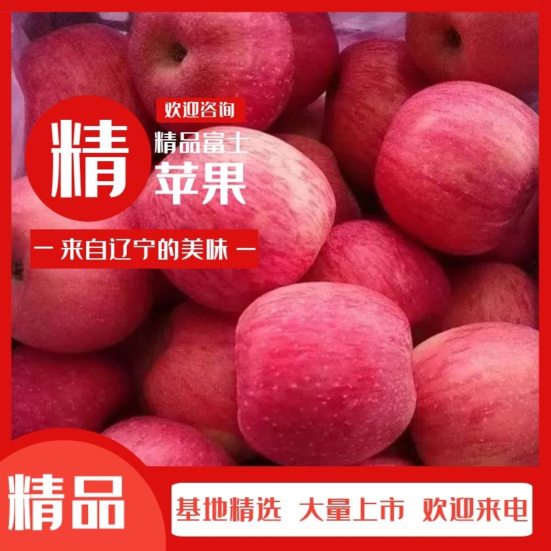 绥中县辽宁绥中富士苹果大量有货个大皮毛亮颜色全红口感脆甜大量有货