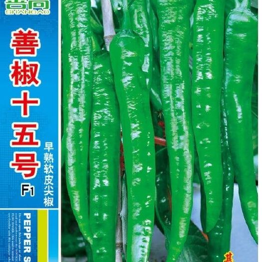 长沙善椒十五号早熟软皮尖椒种子