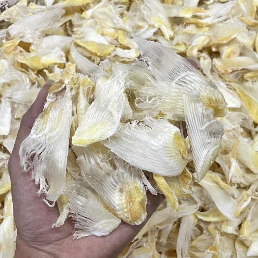广州滑沙小鱼翅，一斤180,10斤起175,50斤起170