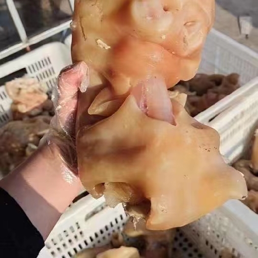 济南熟牛蹄
