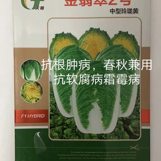 扶沟县金翡翠2号黄心大白菜种子单菜2.5公斤结球紧实囗感商品性
