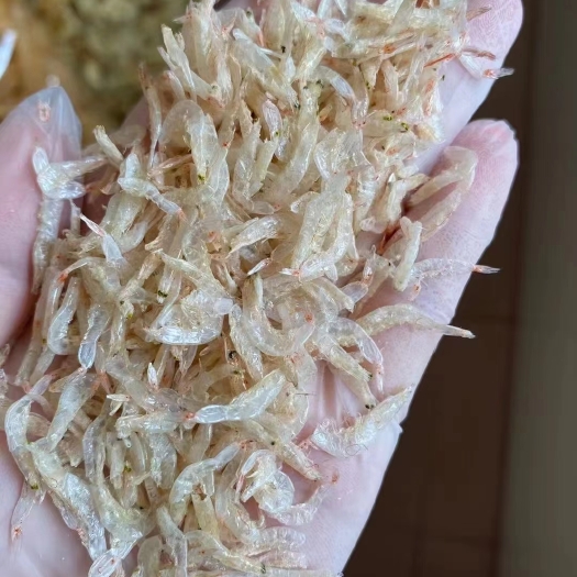 阳江虾皮
