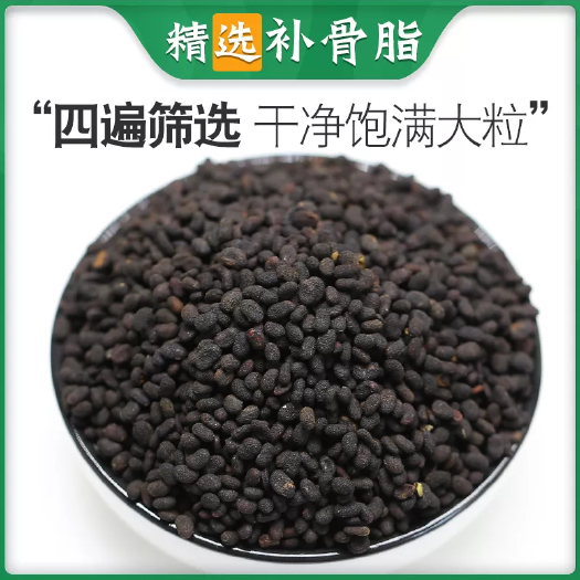 南宁生蚨堂补骨脂中药材500克 补骨脂粉破故纸盐炒补骨脂