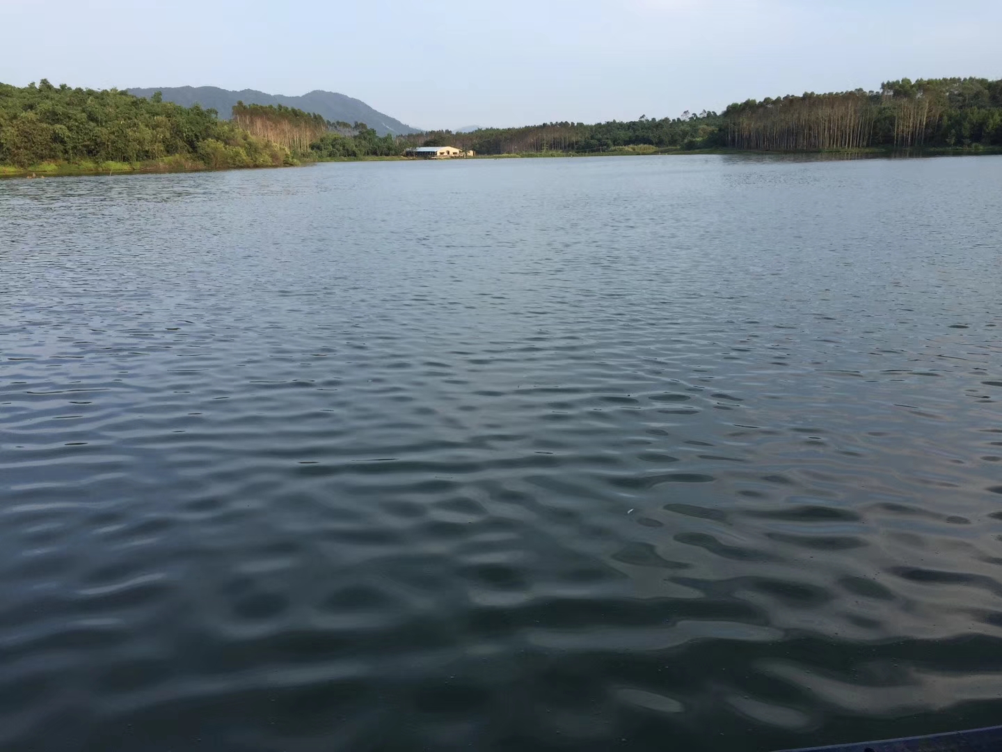 宾阳县水库与鱼塘出租，全国各地均有