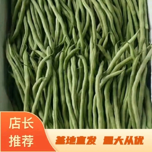太白县太白山高山绿色蔬菜