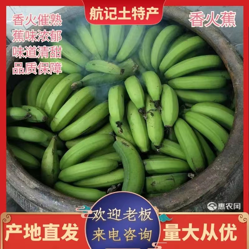 阳江甜香蕉 香火蕉采用传统的催熟方法用香来催熟，更加美味更加健康