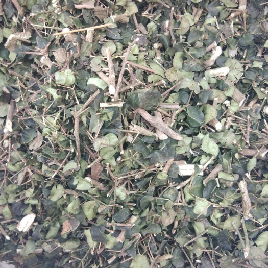 安国市虎刺 绣花针 500g包邮冷背中药材批发 伏牛花