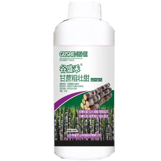 玉林甘蔗粗壮甜1000克拉长增粗拔节起灰生根壮苗防裂拉直膨大拨节