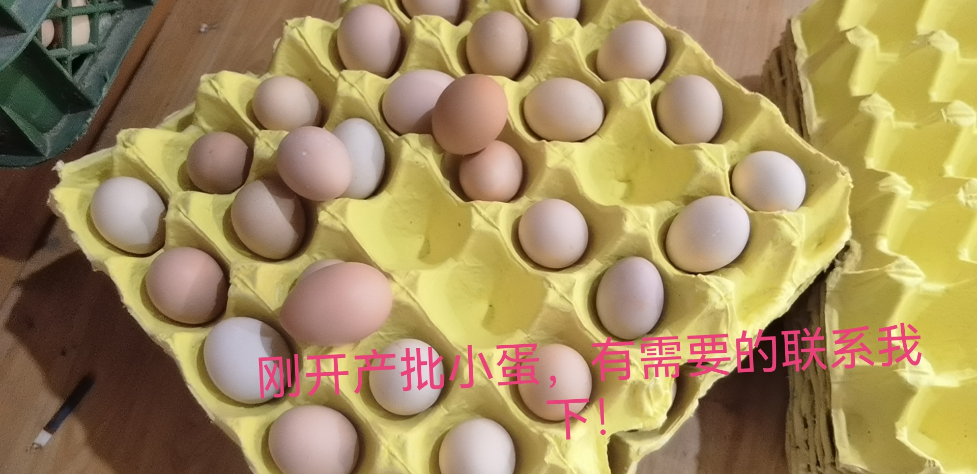 新泰市山东黑鸡蛋初产蛋刚开产蛋小码蛋粉壳净重27-29/360枚