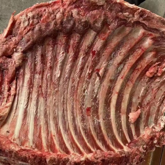 现宰鲜冻驴排 驴肉质量好 价格优货源充足全程冷链运输欢迎来电