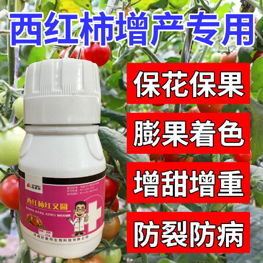 栾川县西红柿红又圆 番茄膨果着色防裂防病 钙镁锌硼钾微量元素水溶肥