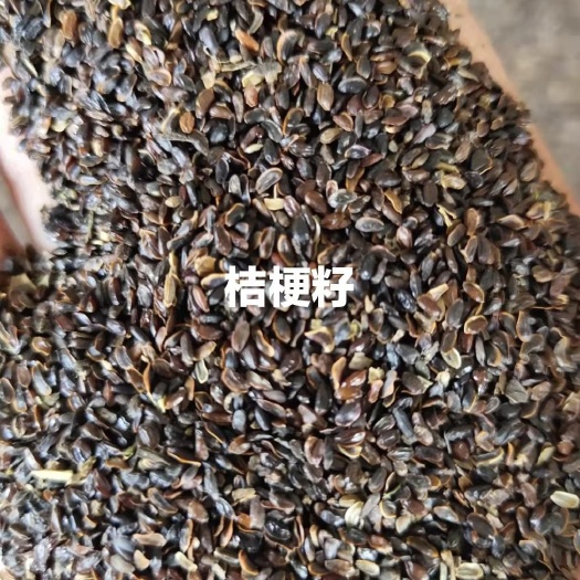 喀喇沁旗桔梗籽