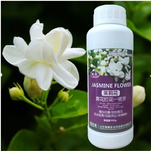 玉林茉莉花叶面肥500克 花卉增加茉莉花蕾花朵饱满氨基酸元素水溶