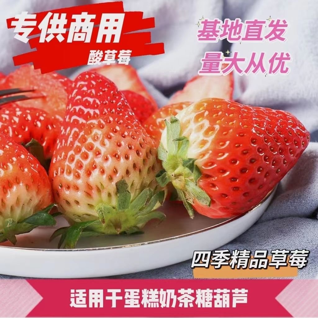 云南四季商用双流草莓基地直发奶茶烘焙水果糖葫芦专用草