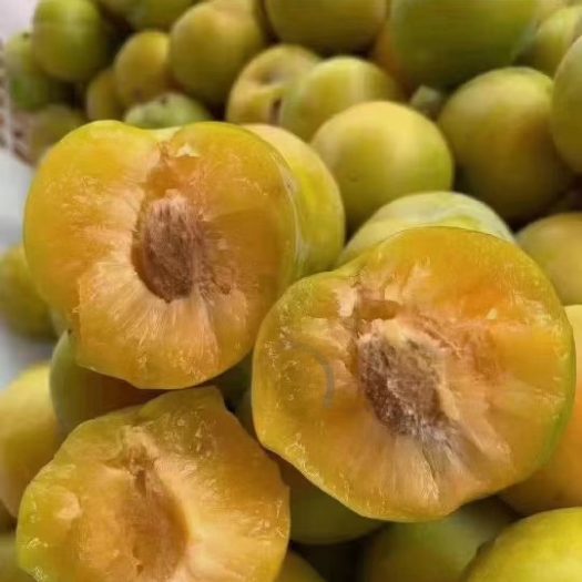 贞丰县正宗六马蜂糖，蜂糖 全国一件代发
