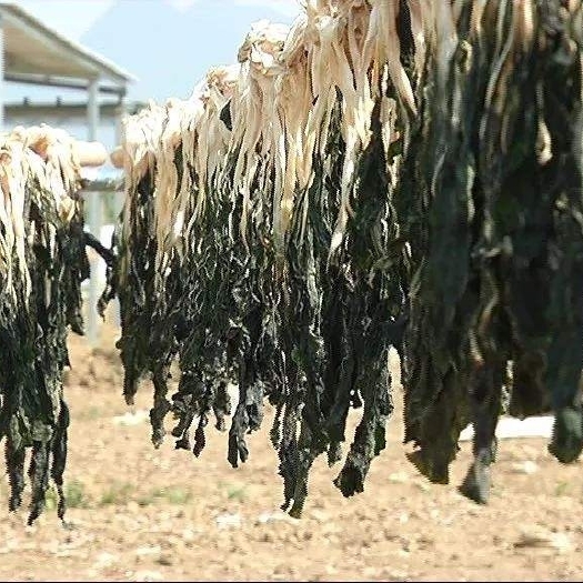 宣恩县恩施特产恩施菜心干农家自晒清甜菜干 白菜苔干鲜嫩 无老根