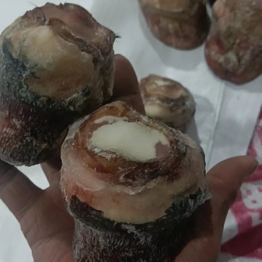 郑州驴短蹄/驴脚 去壳短蹄 质量好 价格优 全程冷链运输 可快