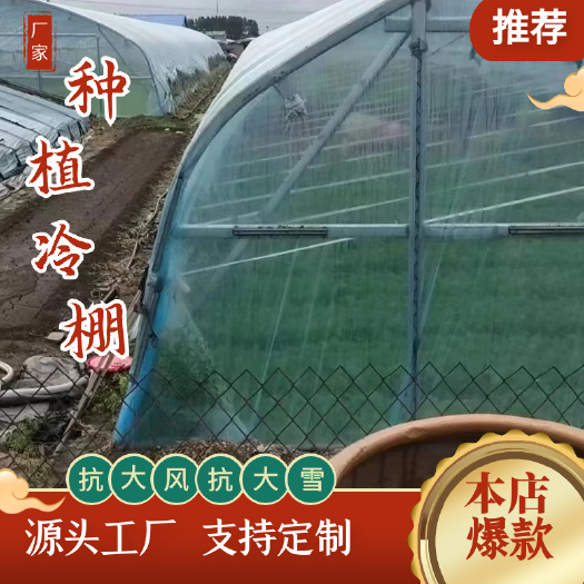 天津《推荐》蔬菜种植大棚温室大棚镀锌连体育苗多肉花卉草莓葡萄大棚