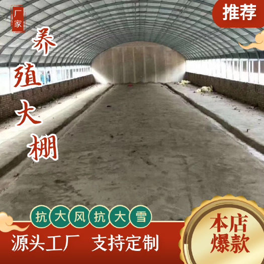 天津《推荐》大棚钢管骨架温室蔬菜种植养殖大棚牛羊圈猪舍鸡棚全套