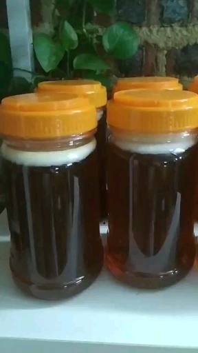 阳春市纯正大山蜂蜜