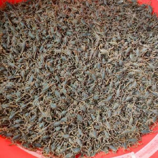 湛江厂地有货