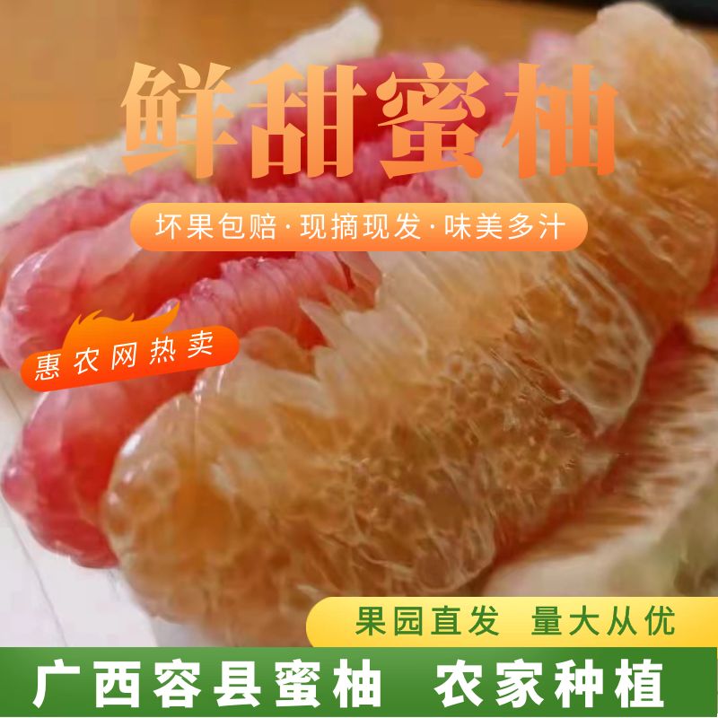 容县容县蜜柚黄肉50斤家庭袋