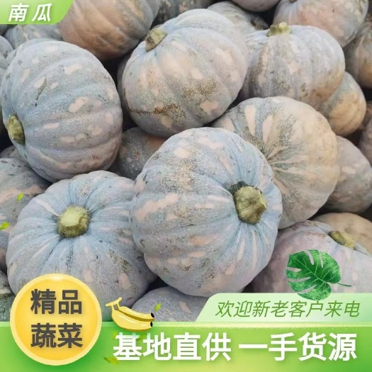 嘉鱼县204磨盘南瓜，基地发货，一手货源，货走全国