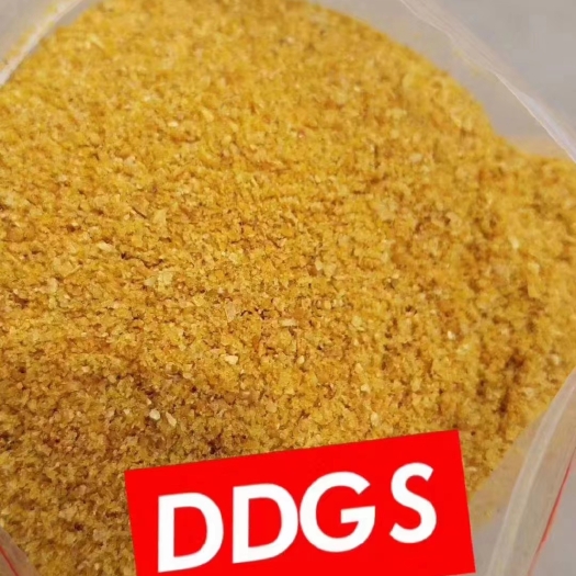 正定县玉米蛋白饲料DDGS，厂家直销，脂肪8蛋白27