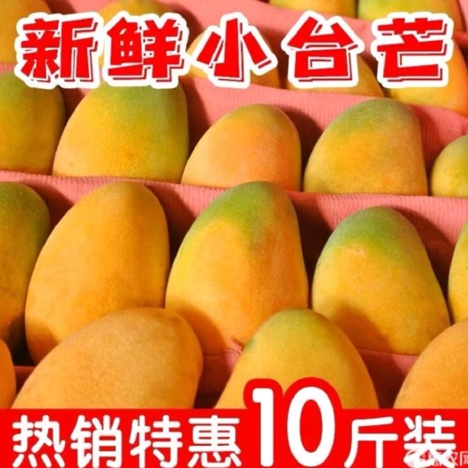 百色台农芒